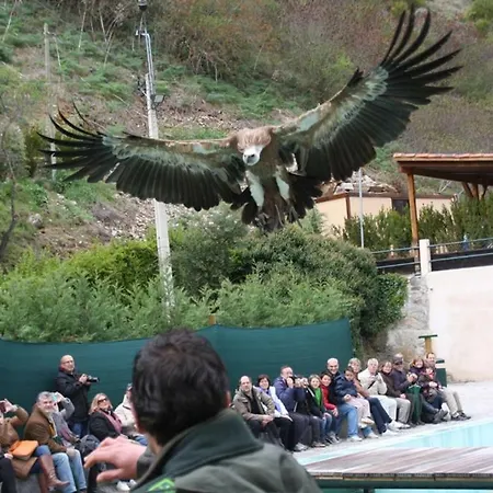 Casa rural Zapatero *